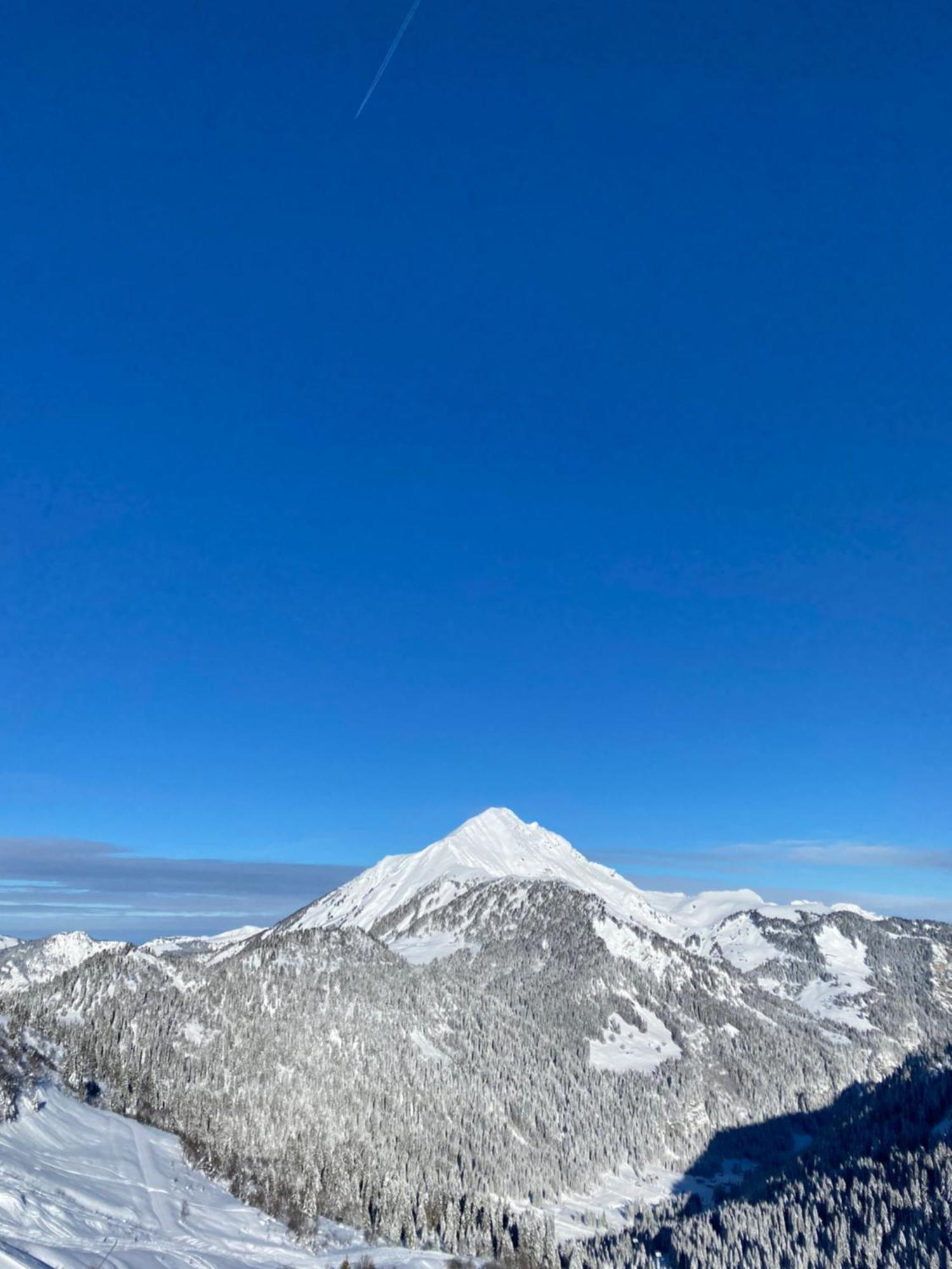 Le Roitelet Hotel Châtel Eksteriør billede