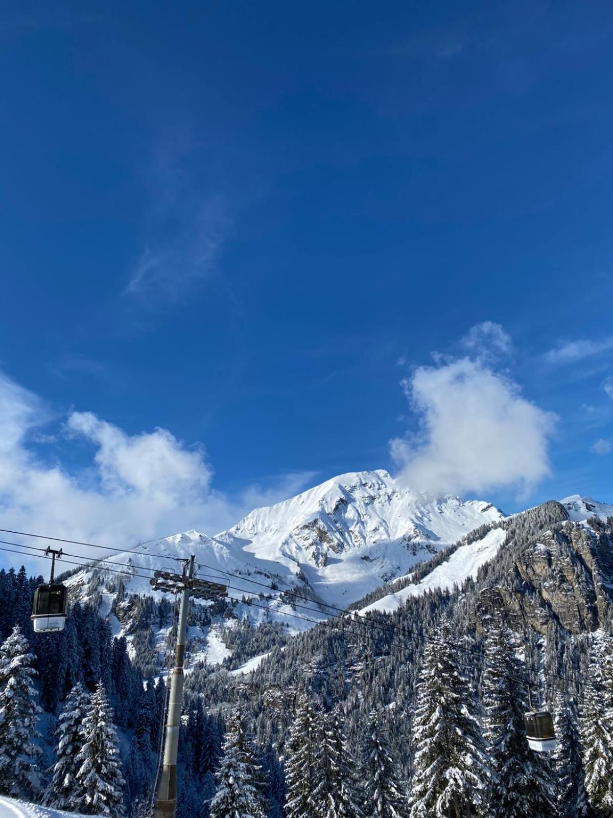 Le Roitelet Hotel Châtel Eksteriør billede