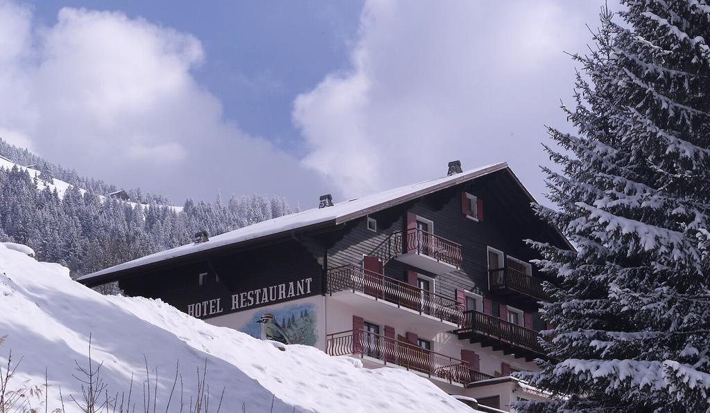 Le Roitelet Hotel Châtel Eksteriør billede