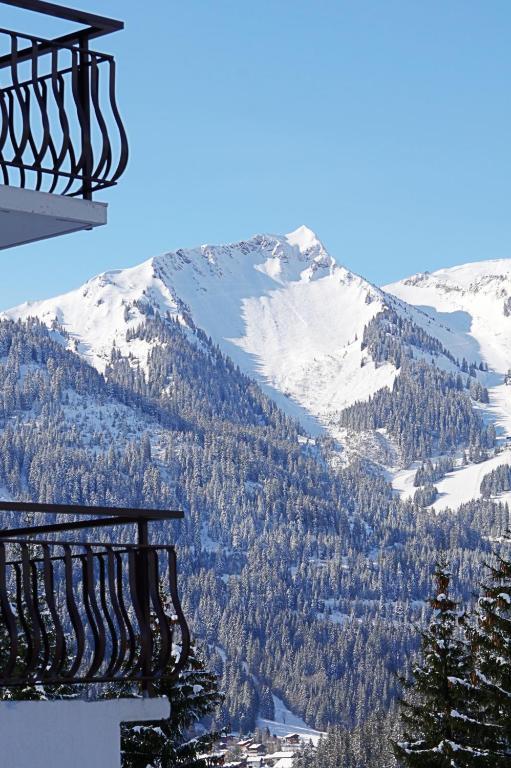 Le Roitelet Hotel Châtel Eksteriør billede