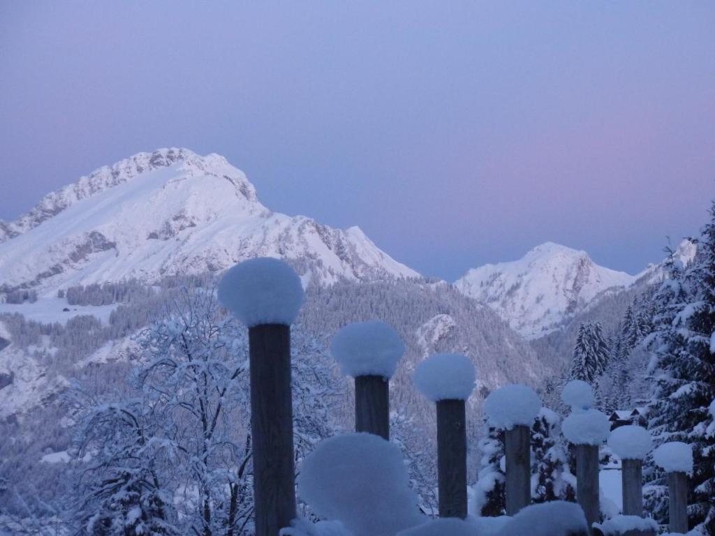Le Roitelet Hotel Châtel Eksteriør billede